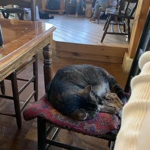 Had to share my table with a local
