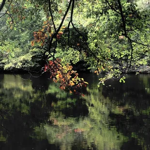 Lake