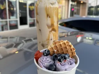 Aurora Rolling Ice Cream
