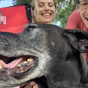Auggie the camp dog! Sweet old boy!