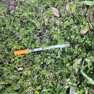 Be careful of needles when walking around this place!