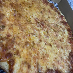 Extra cheese pizza