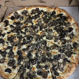 White Truffle Pizza