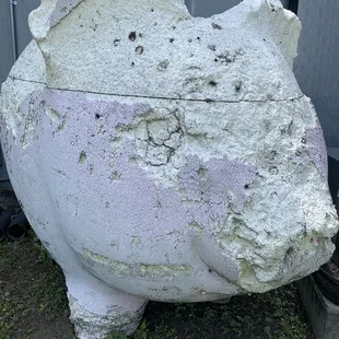 A pig with character