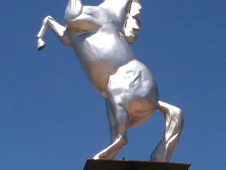 Silver Stallion Club