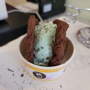 Double Chocolate Cookies with Mint Chocolate Chip Ice Cream