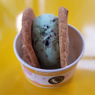 Snickerdoodle Cookies with Mint Chocolate Chip Ice Cream