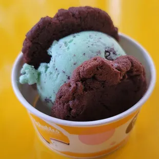 Double Chocolate Ccokies with Mint Chocolate Chip Ice Cream