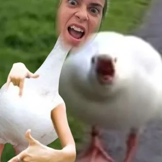 Brisa R.