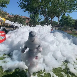 Bubble magic at it's finest!!