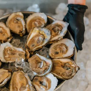 oysters, oysters and mussels, mussels, shellfish, food