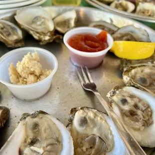 a variety of oysters