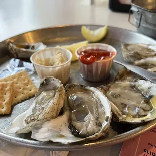 Oysters