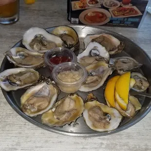 Oysters on the Half Shell