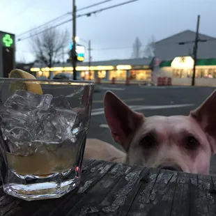 Dog friendly outdoor seating