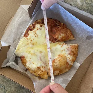 This was supposed to be the 8 in cheese pizza.