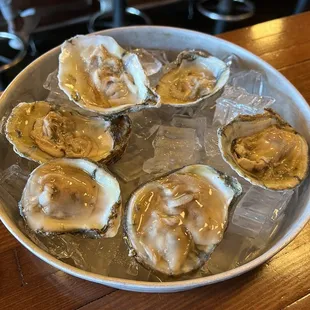 Happy hour oysters