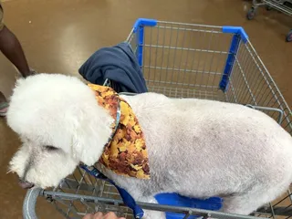 Cathy's Critter Cuts