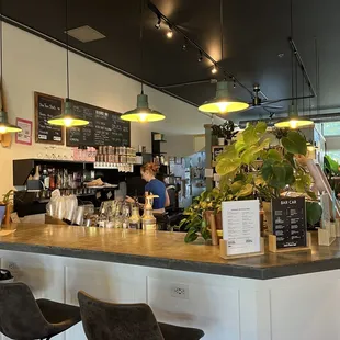 the counter and bar area