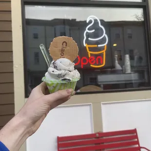 a hand holding a cup of ice cream