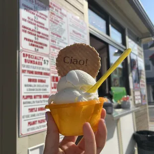 Lemon mascarpone gelato