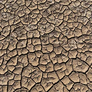 Beautiful texture of dirt