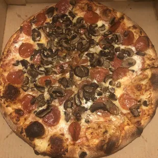 Large cheese-added pepperoni and shrooms- not cheap on the shrooms!