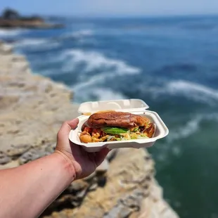 Wow. Come to Santa Cruz, Humble Sea, for the best food truck! Al Pastor Tortas!