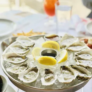 Oysters