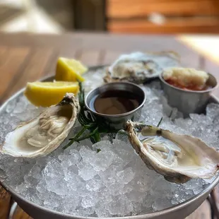 Oysters