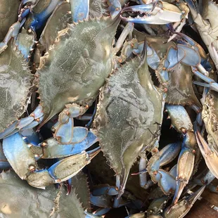  bowl of blue crabs