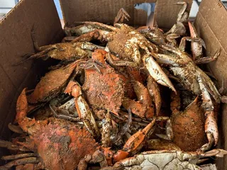 Bob's Seafood Company