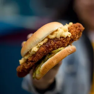 Fried Chicken