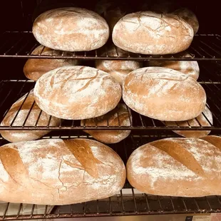 a rack of freshly baked bread
