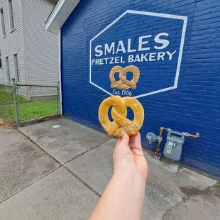 a hand holding a pretzel