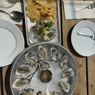 food, mussels, oysters and mussels, oysters, shellfish