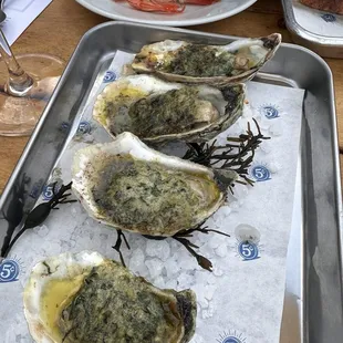 food, oysters and mussels, mussels, shellfish, oysters
