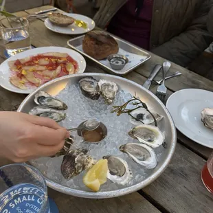 Oysters &amp; yellowtail crudo