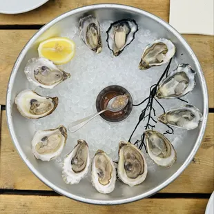 Raw Oysters