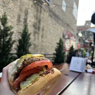 Plant Based Burger