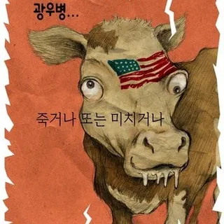 Kalbi K.