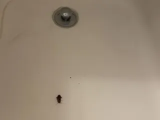 Charles Motel & Hot Springs Spa