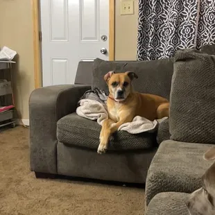 Leaha and Molly sitting pretty after her cupcake