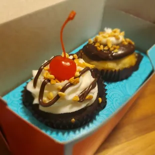 Hot Fudge Sundae and Drumstick