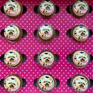 My pup's 11th bday pupcakes!