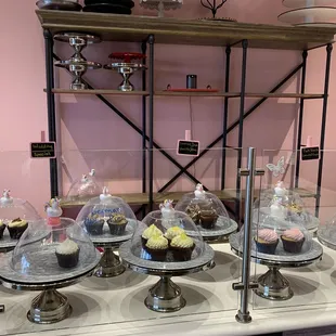 Look at these beauties!!!!