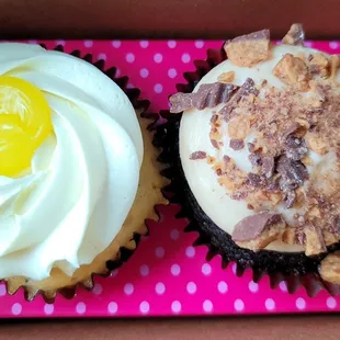 Smallcakes Medallion