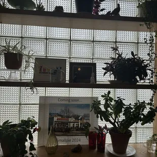 Wall