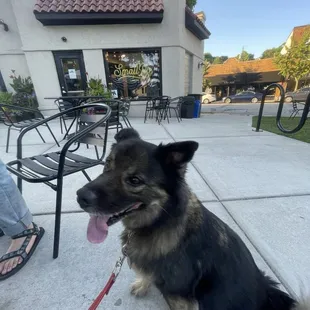 Dog friendly outdoor patio.