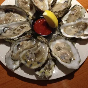 Oysters on the Half Shell